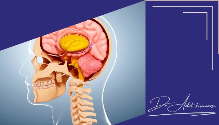 مشکلات مغزی و نخاعی